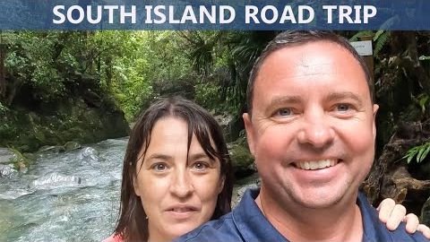 Brook Waimārama Sanctuary & Ohau Point Seal Colony