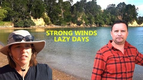 STRONG WINDS & Lazy summer days in New Zealand